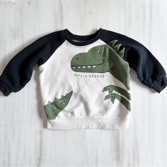 Carter’s dinosaur outfit (size 12-18 months) - Picture 2 of 8